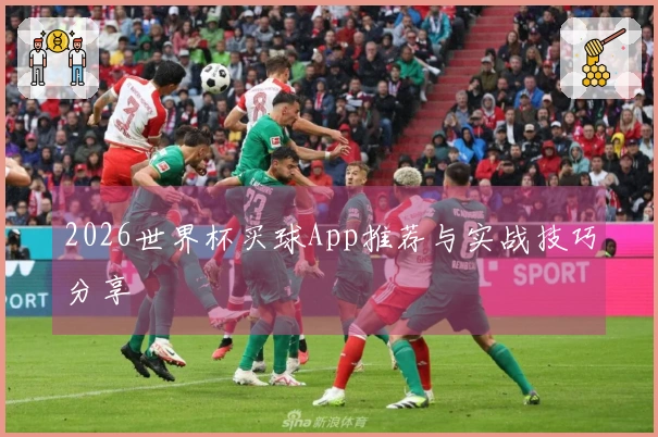 2026世界杯买球App推荐与实战技巧分享