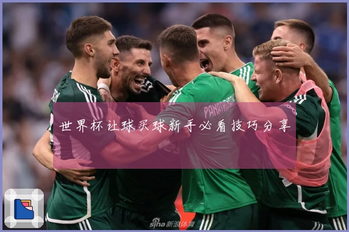 世界杯让球买球新手必看技巧分享