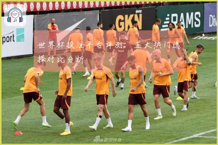 世界杯投注平台评测：五大热门选择对比分析