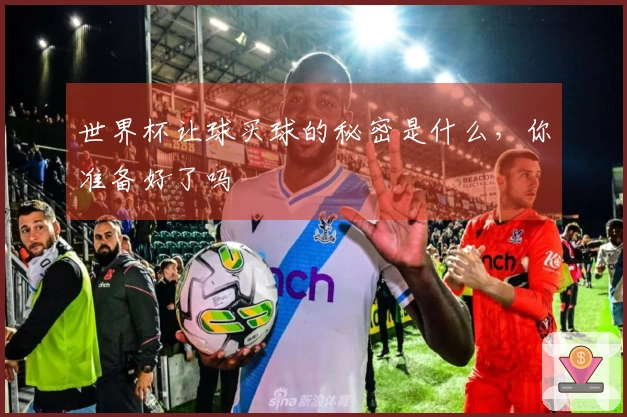 世界杯让球买球的秘密是什么，你准备好了吗