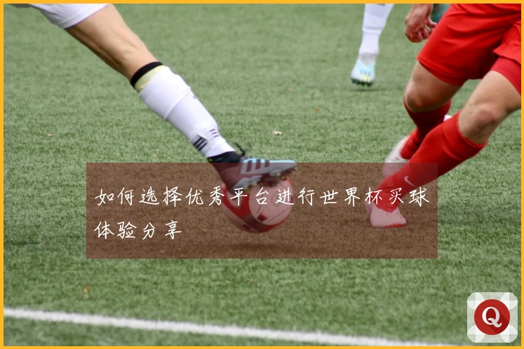 如何选择优秀平台进行世界杯买球体验分享