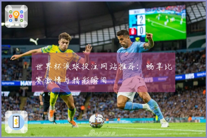 世界杯滚球投注网站推荐：畅享比赛激情与精彩瞬间