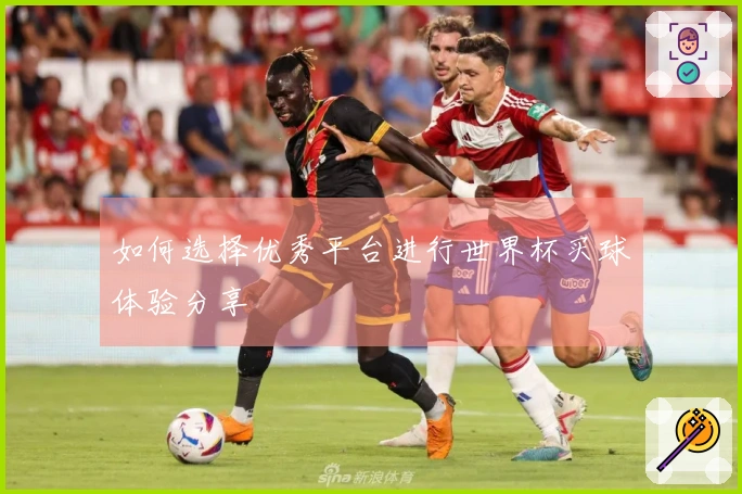 如何选择优秀平台进行世界杯买球体验分享